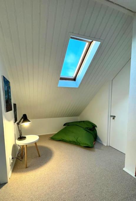 Cozy Corner In Perfect Location Downtown Apartment *