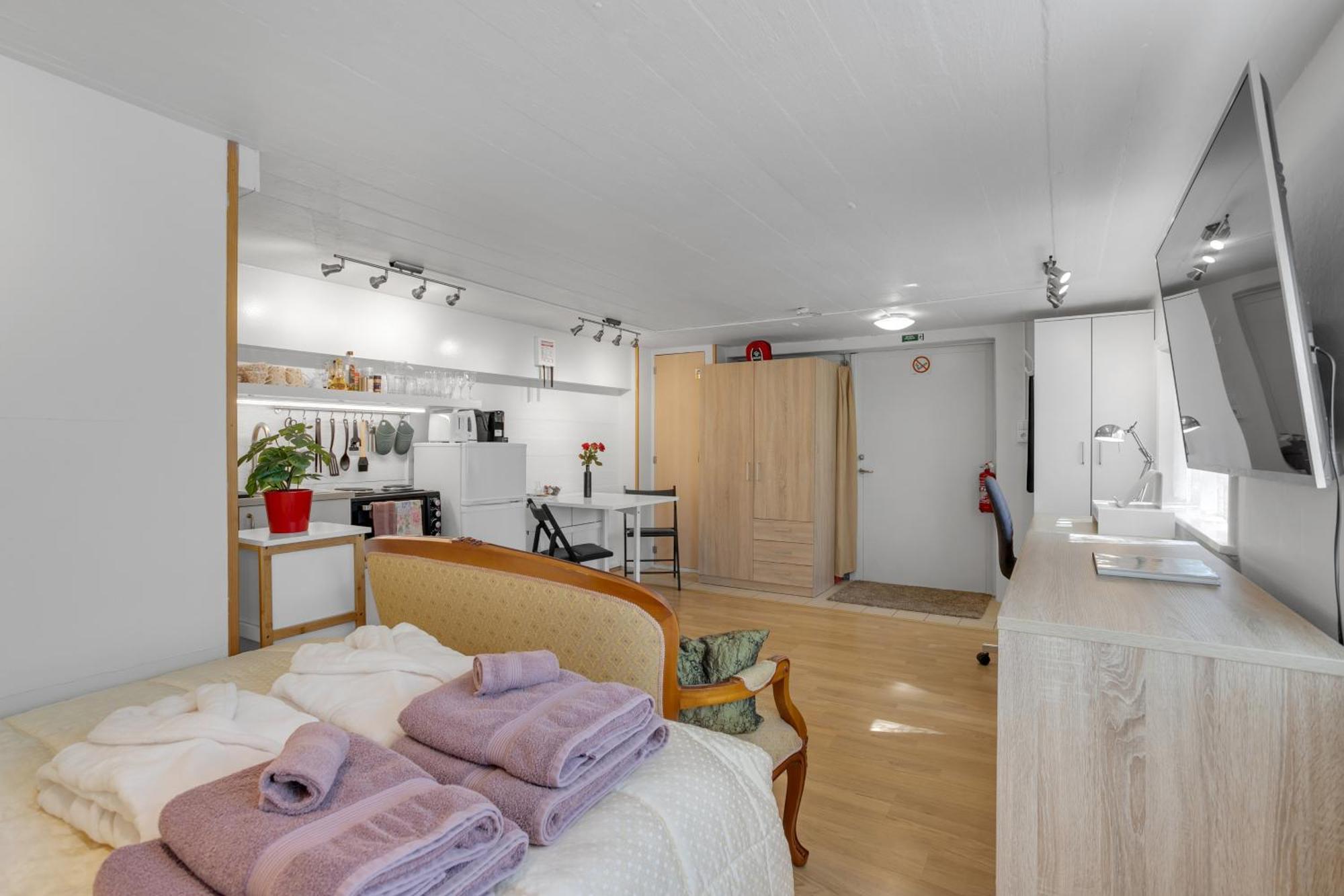 Apartment Lara Studio: Laugardalur Valley Retreat With Private Entrance And Parking *