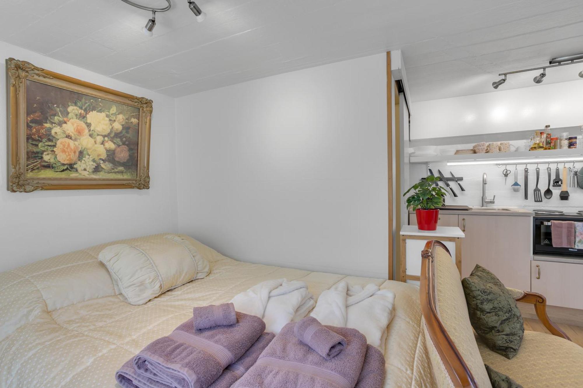 Apartment Lara Studio: Laugardalur Valley Retreat With Private Entrance And Parking *