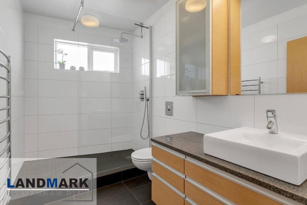 Country In The - 3 Bedrooms Apartment Reykjavik