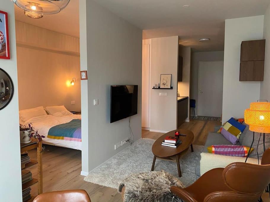 Apartment Cozy In *