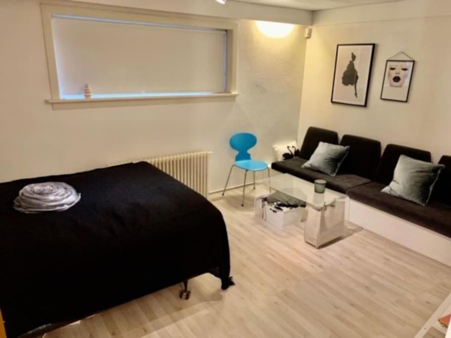 Sea Side 3br In Central With Free Parking Apartment Reykjavik