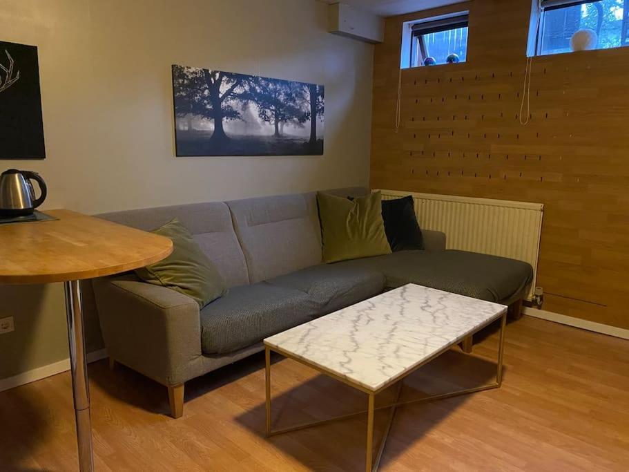 A Cozy Basement In Rvk Suburbs