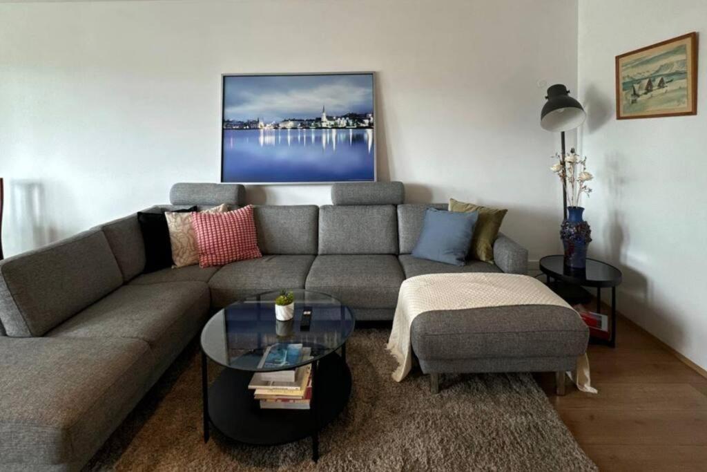 Apartment Comfort And Elegance In Downtown,