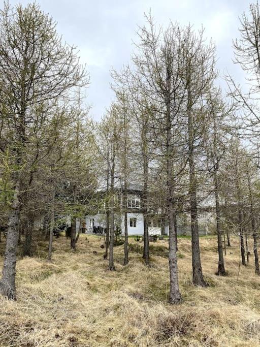 Apartment 4-room Spacious W Patio *