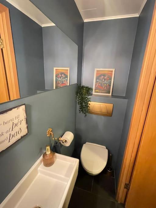 Bright House For 6 People, With Hut Tub In Garden Reykjavik