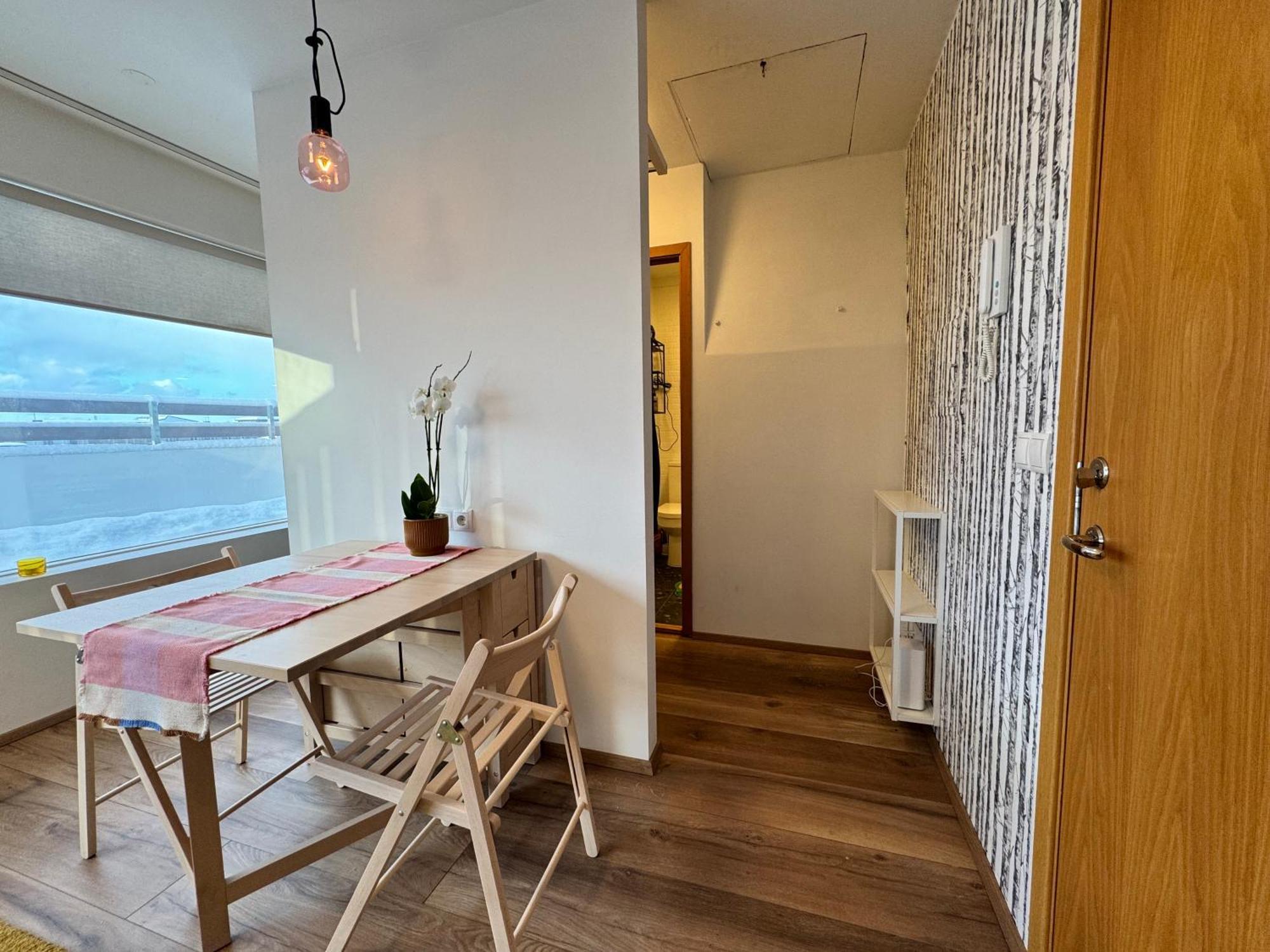 Apartment Bright & Cozy Central Studio Reykjavik
