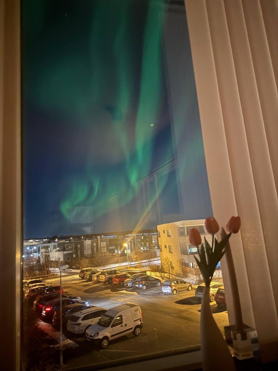 Apartment House Of Light *