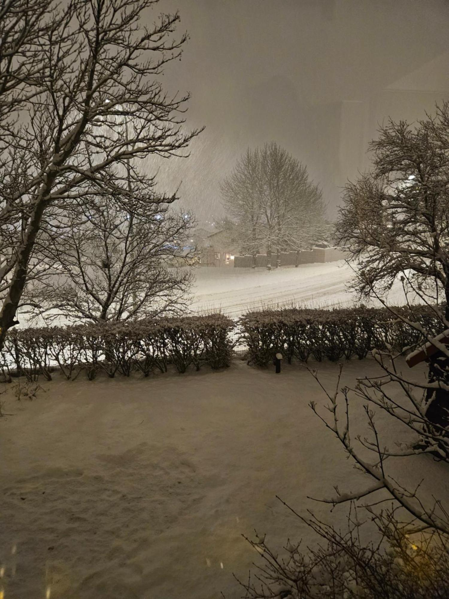 Reykjavik Reykjavik