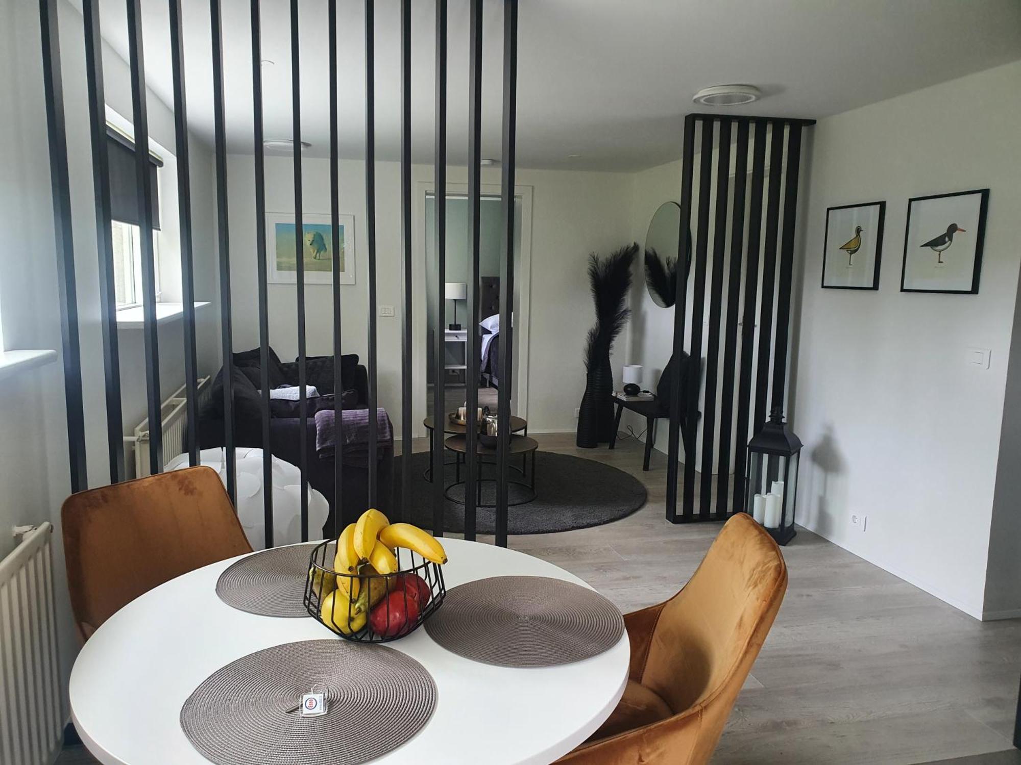 Reykjavik Apartment Reykjavik