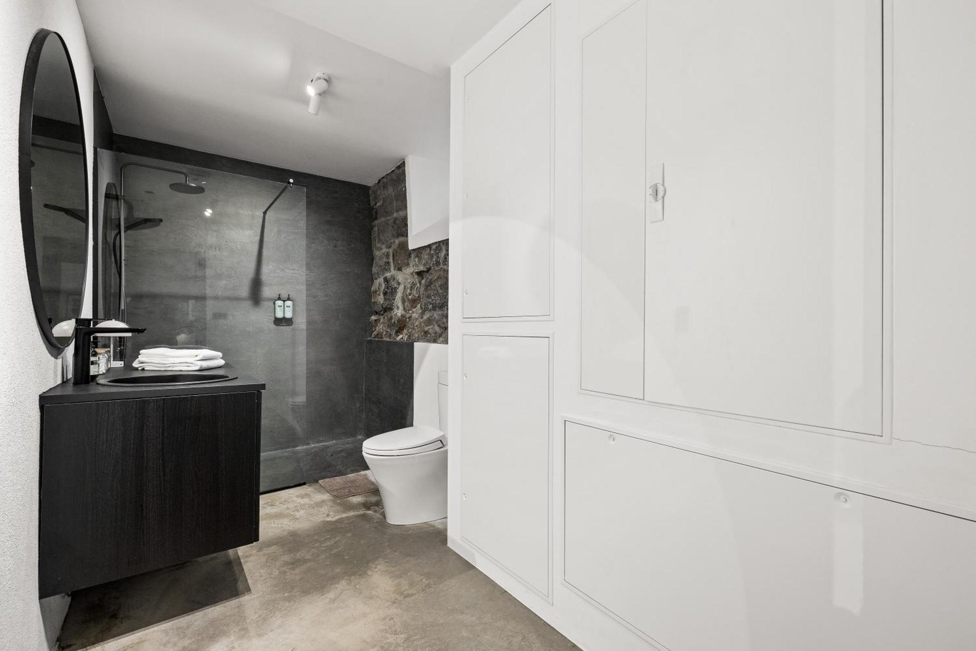 Apartment Spacious In Downtown
