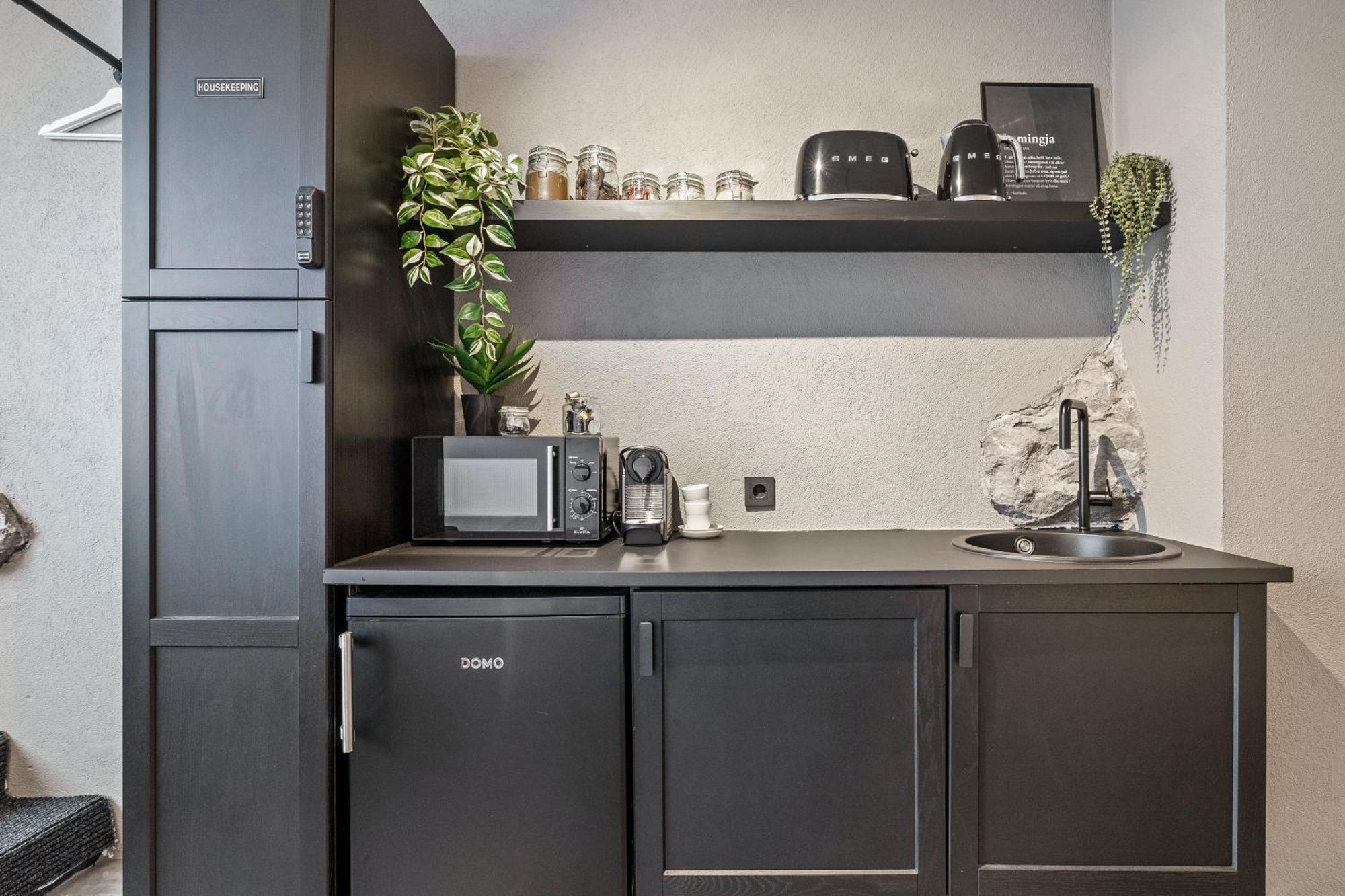Apartment Spacious In Downtown