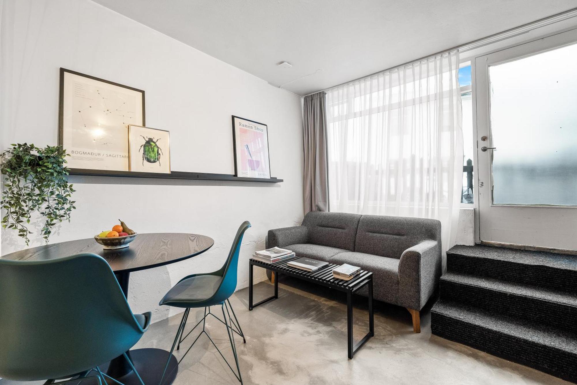 Spacious In Downtown Apartment *