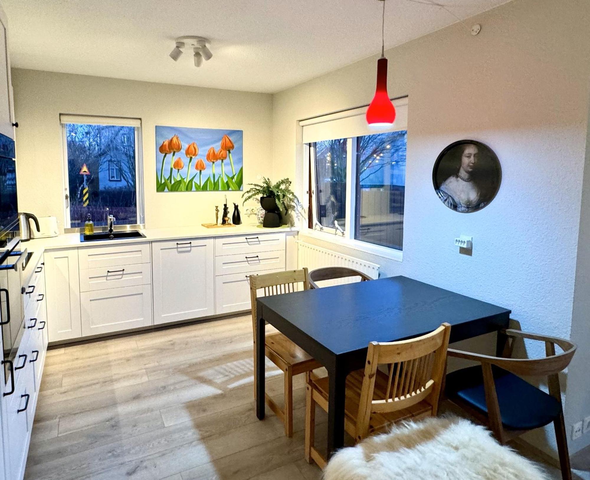 Apartamento Reykjavikurvegur 42