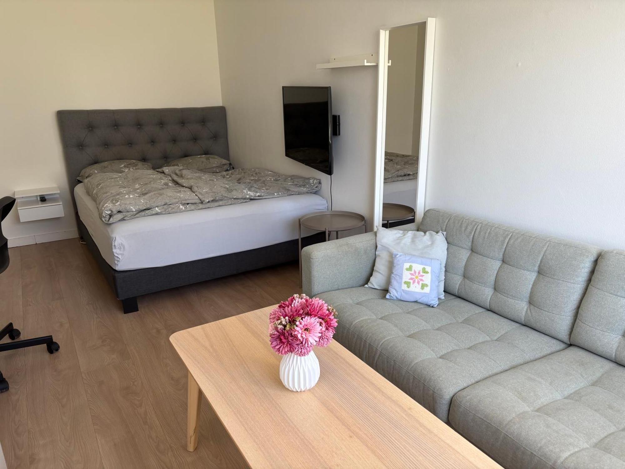 Midnight Sun Apartment
