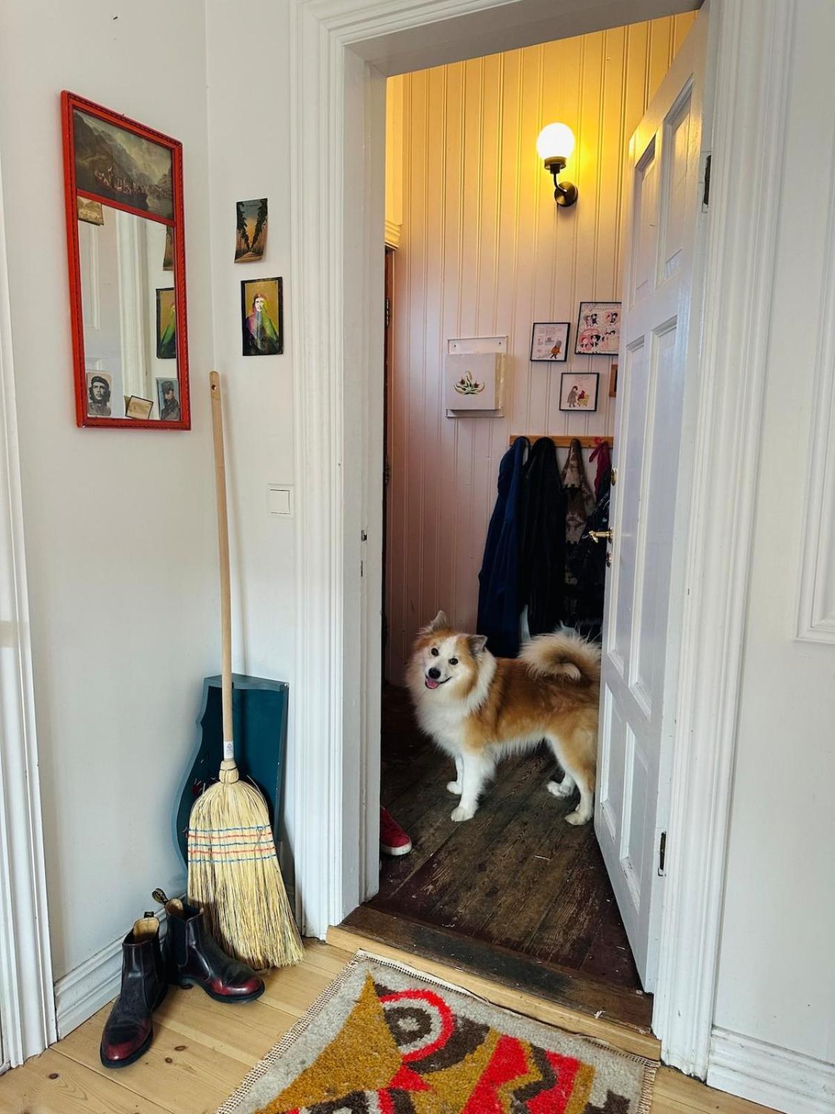 Holiday home Cosy House In The Heart Of Downtown - Birta Reykjavik