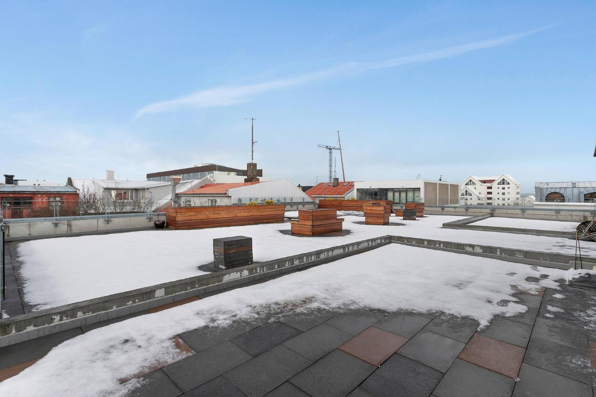 Rooftop Balcony -amz View - Lrg 2 Bedroom -free Parking