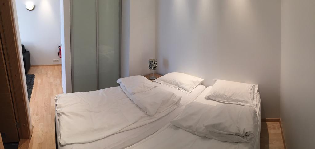 Caze Central Luxury Reiquiavique