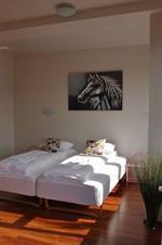 Apartment Iceland Comfort *