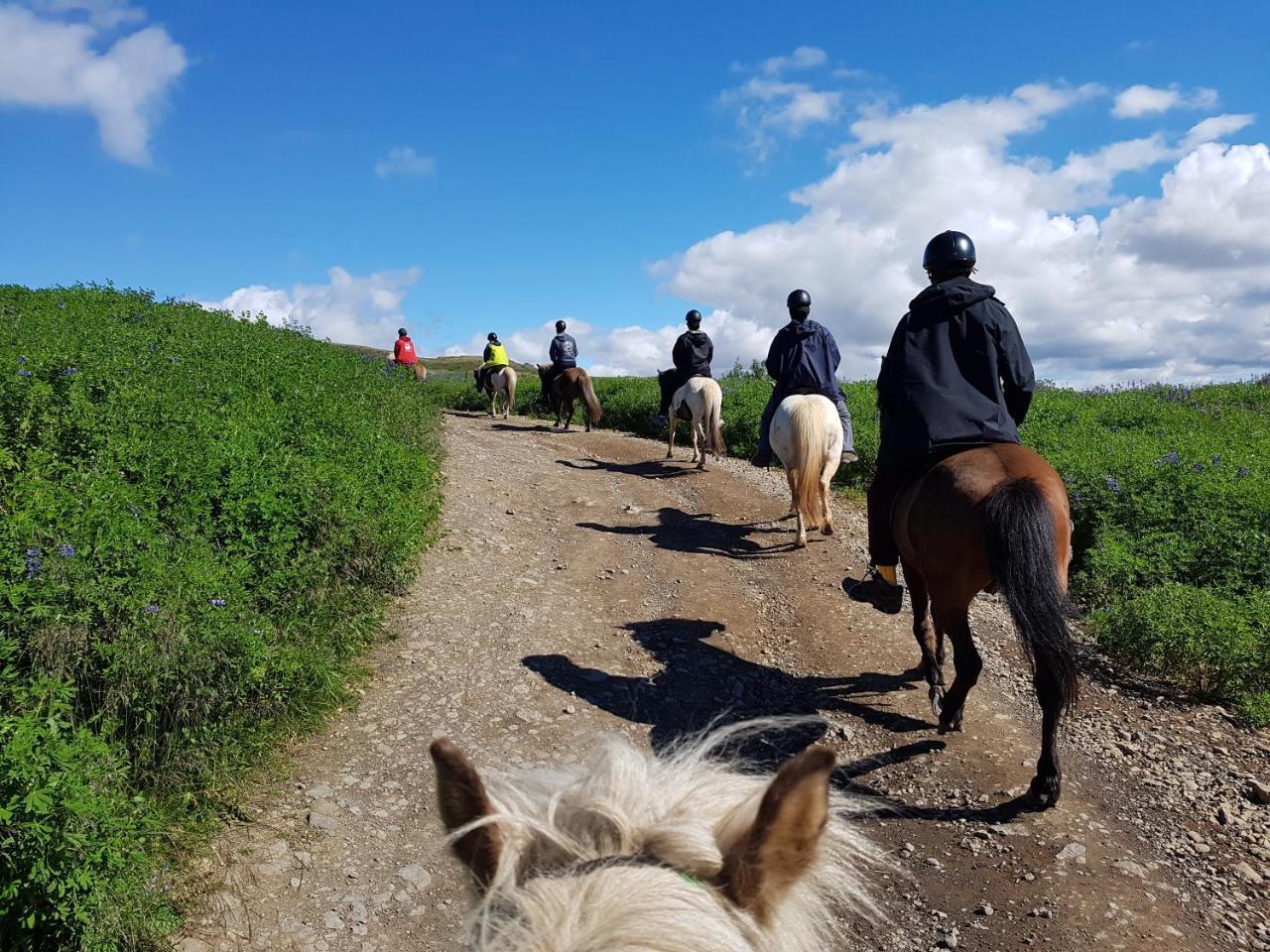Gasthof Akurholt Reykjavík