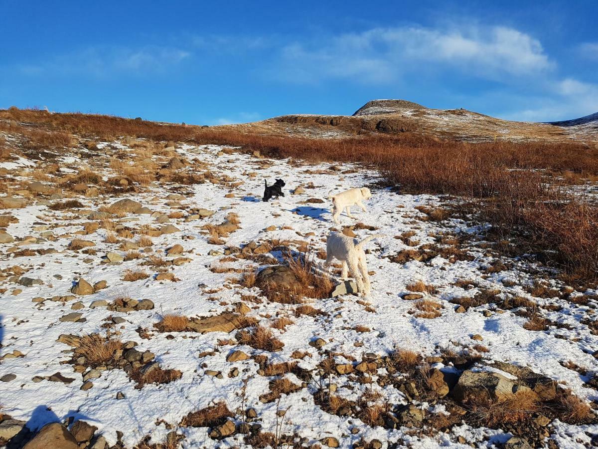 Gasthof Akurholt Reykjavík