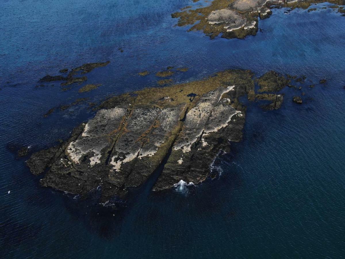Nesvik, A Unique Nature Getaway Near Villa *