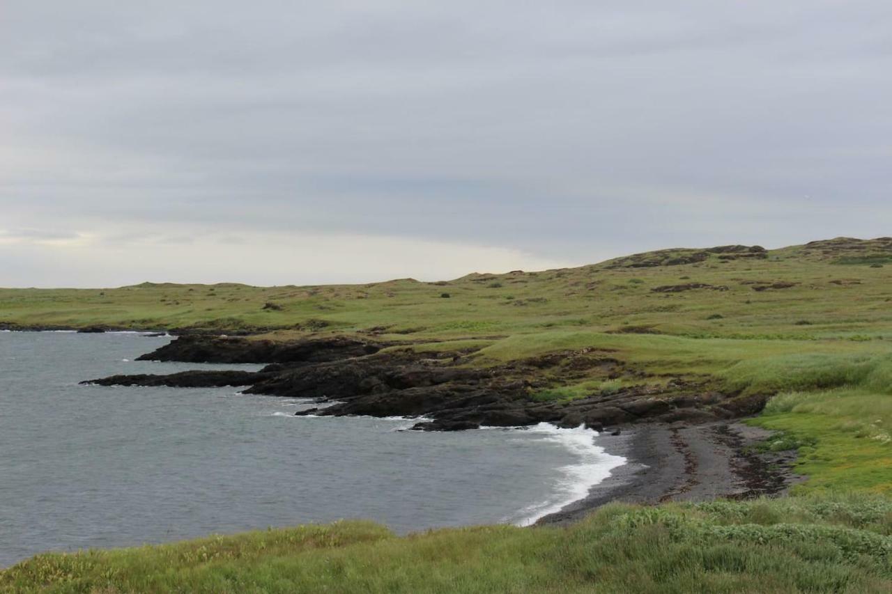 Nesvik, A Unique Nature Getaway Near Villa *