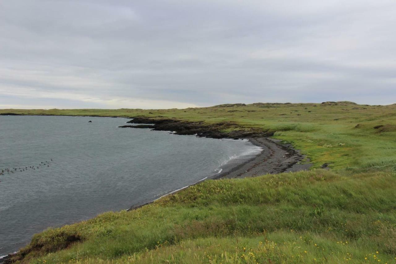 Villa Nesvik, A Unique Nature Getaway Near *