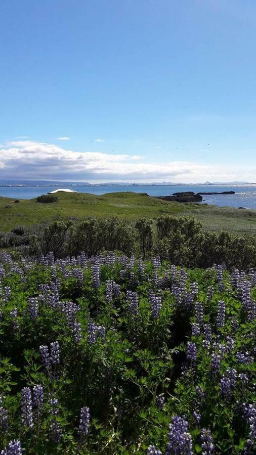 Nesvik, A Unique Nature Getaway Near * Reykjavik