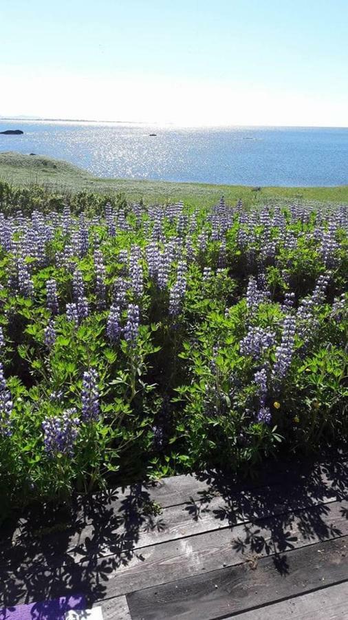 Nesvik, A Unique Nature Getaway Near