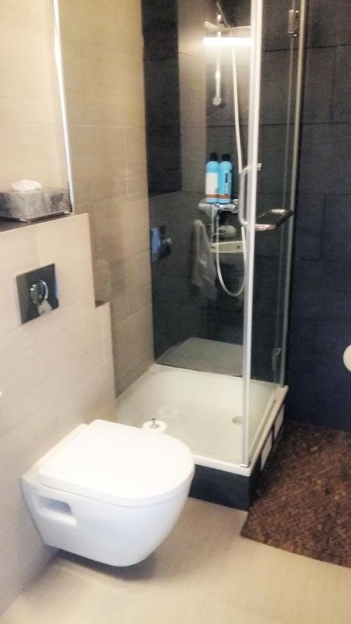 Refurinn Reikiavik