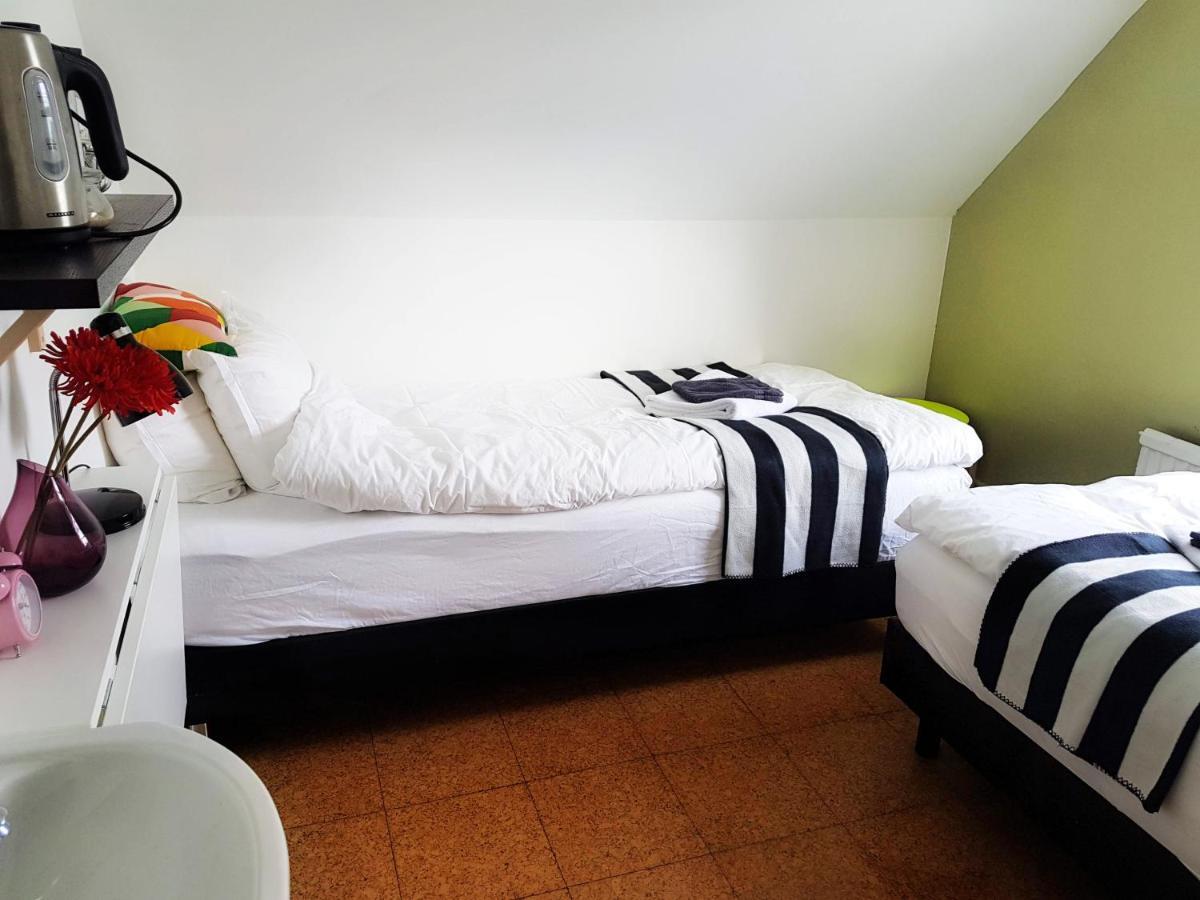 Refurinn * Reikiavik