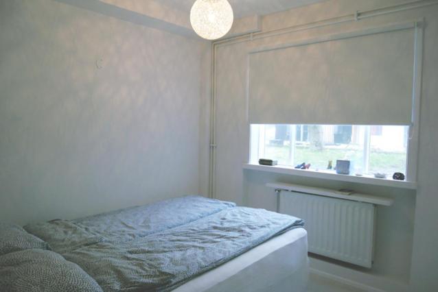 Signy's Nest Reikiavik