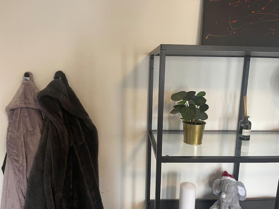 Cool Place In Perfect Location Downtown Apartment *
