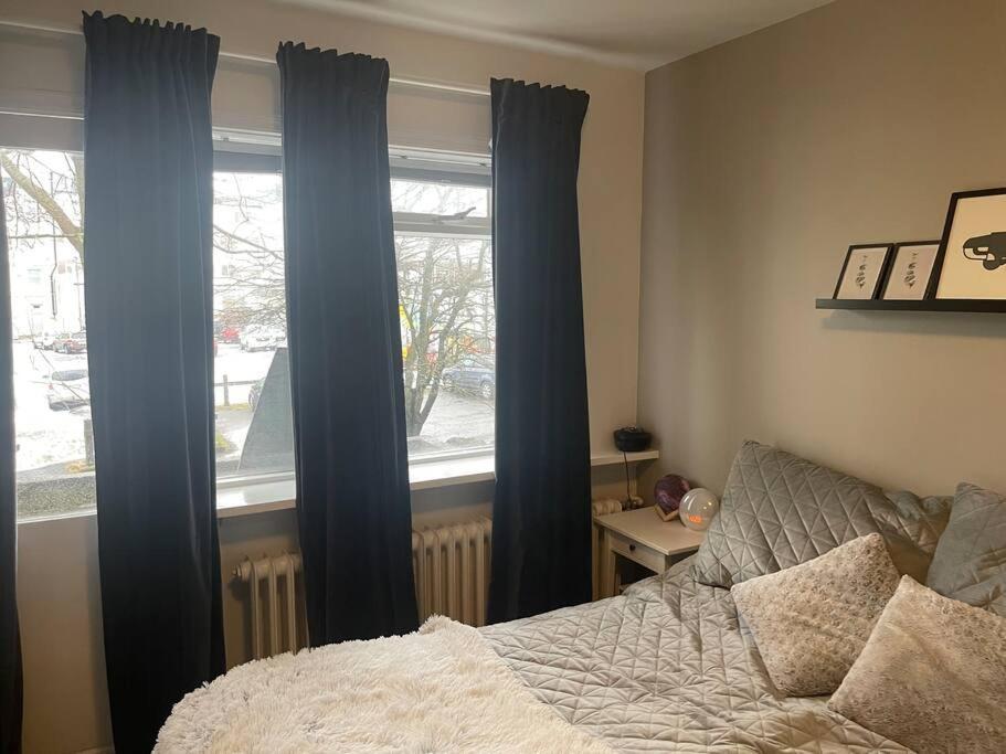 Cool Place In Perfect Location Downtown Apartment