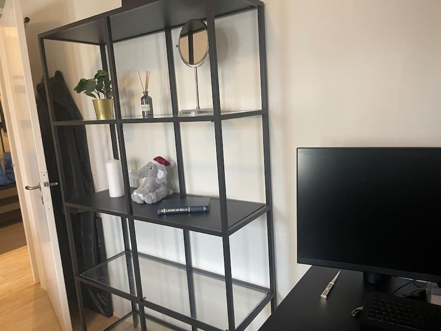 Cool Place In Perfect Location Downtown Apartment *