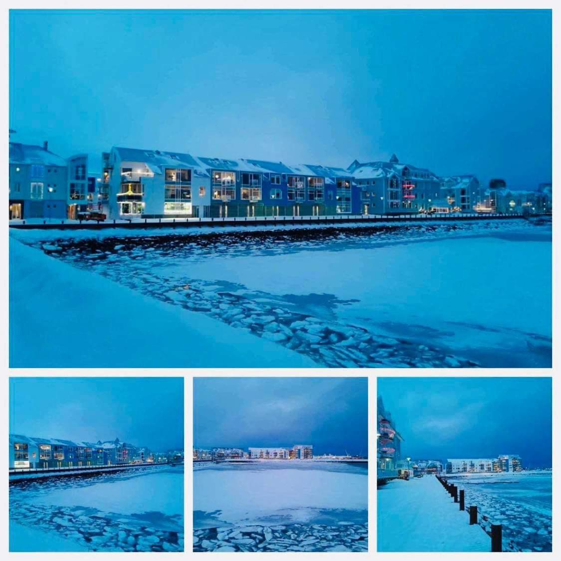 Apartment With Ocean View Reykjavík