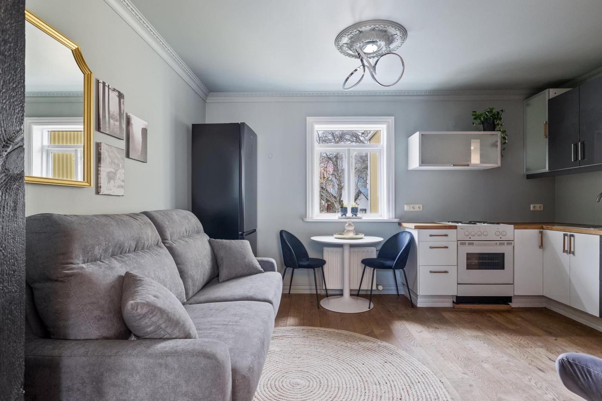 The Center Of Downtown Apartment Reykjavik