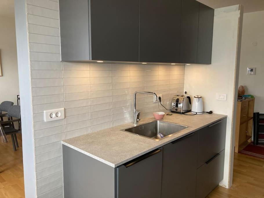 Spacious Flat - Magnificent View Reykjavik