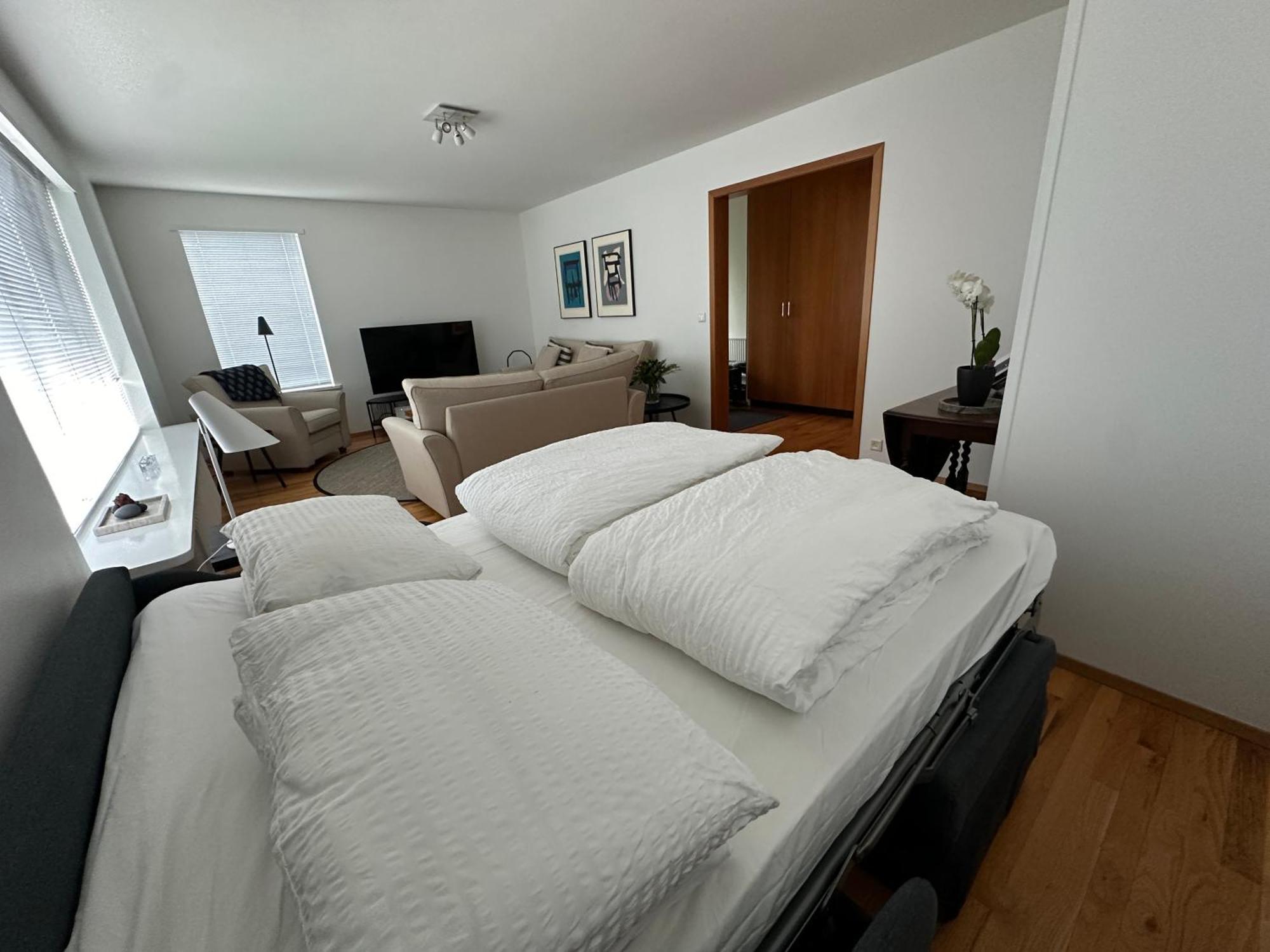 Apartment Solheimar - Birta