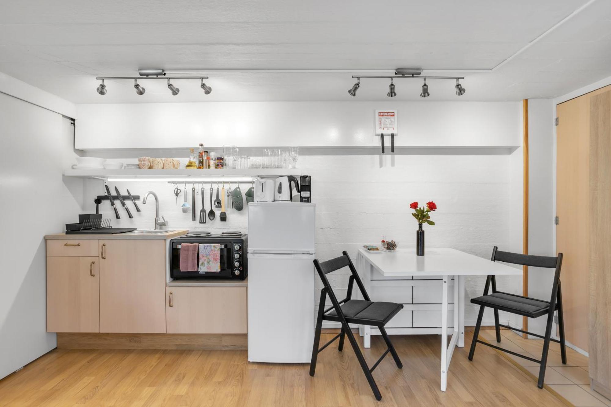 Apartment Lara Studio: Laugardalur Valley Retreat With Private Entrance And Parking