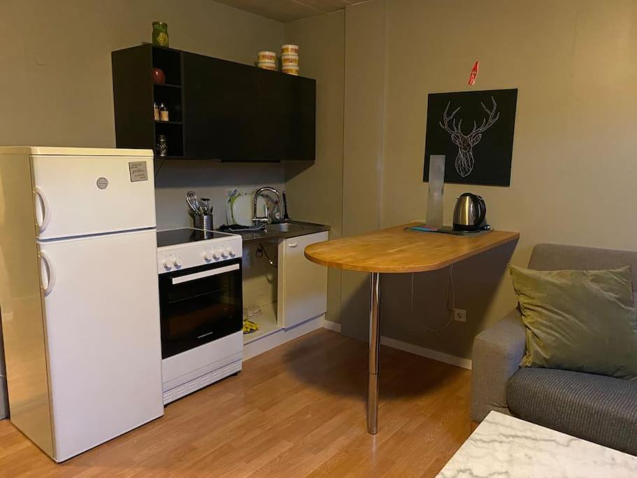 A Cozy Basement In Rvk Suburbs