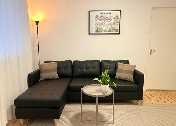Reykjavik Apartment 105