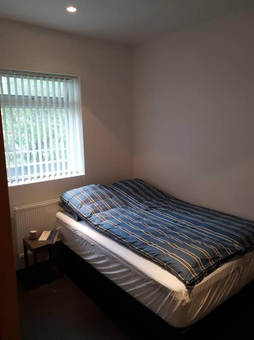 1-bedroom By Center, Free Parking *