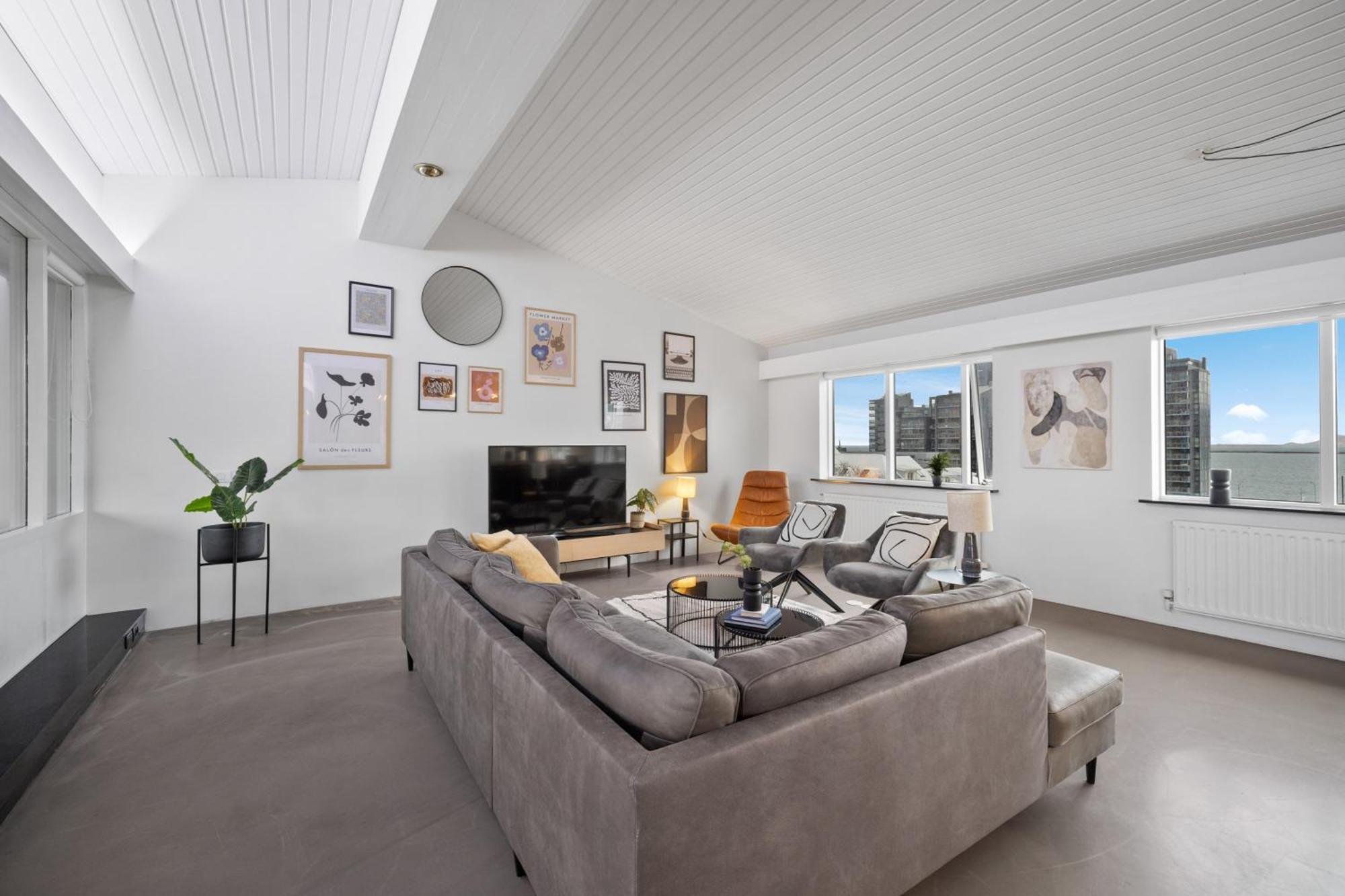 Penthouse On The Shopping Street-free Parking Reiquiavique