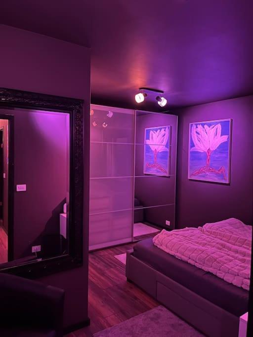 Luxurious In Apartamento Reiquiavique
