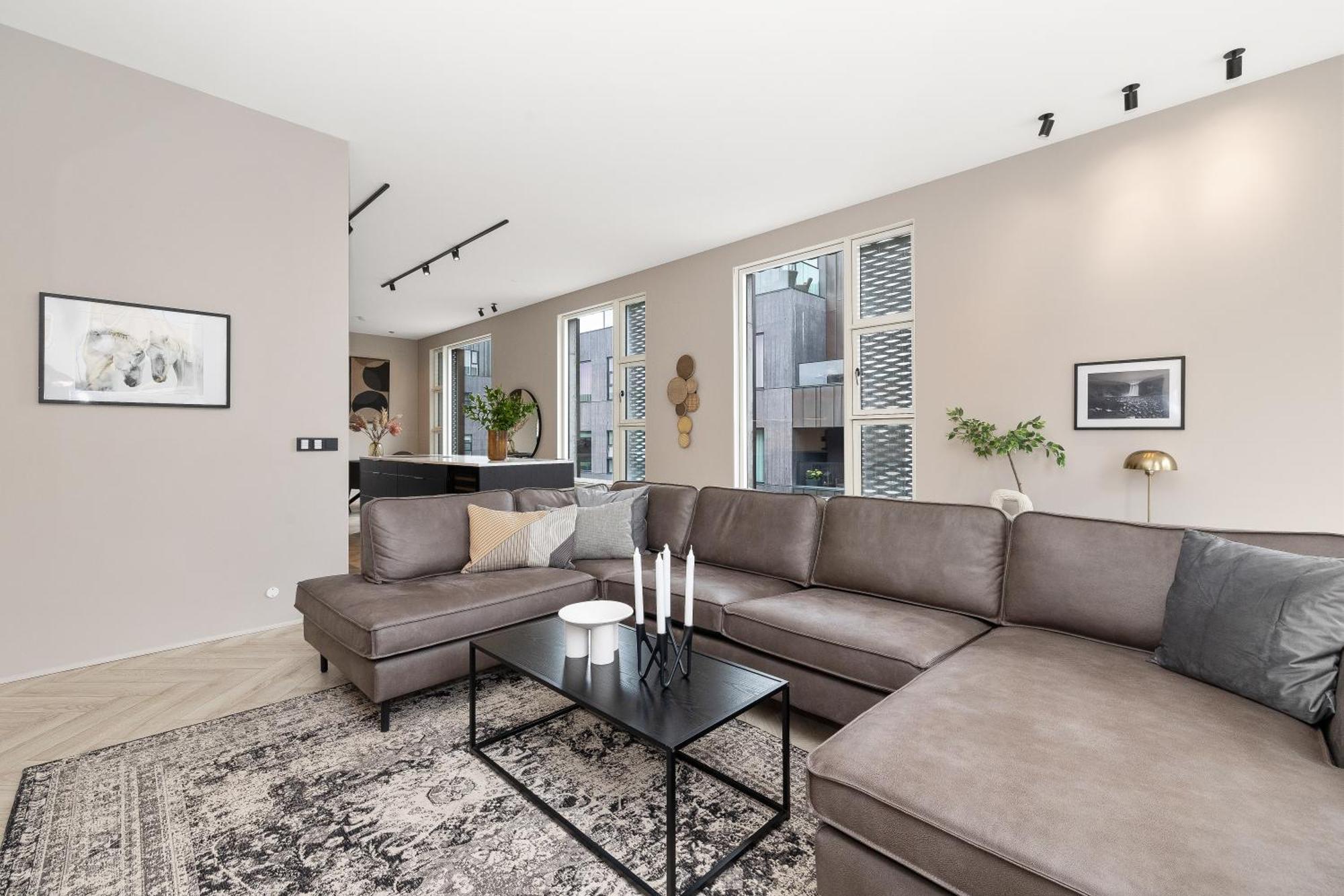 Desirable Penthouse In Reykjavik