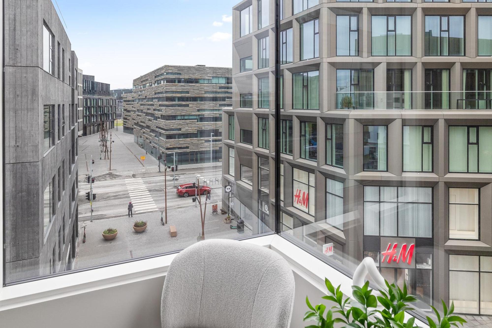 Desirable Penthouse In Reykjavik