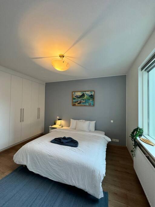 Comfort And Elegance In Downtown, Apartamento Reikiavik
