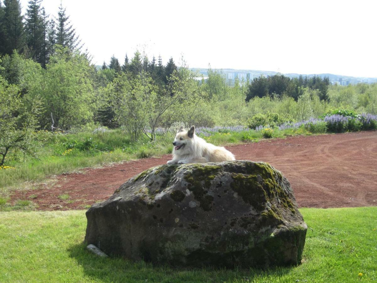 Ulfarsfellsvegur 20, 113 Rvk Birkihlid Homestay *